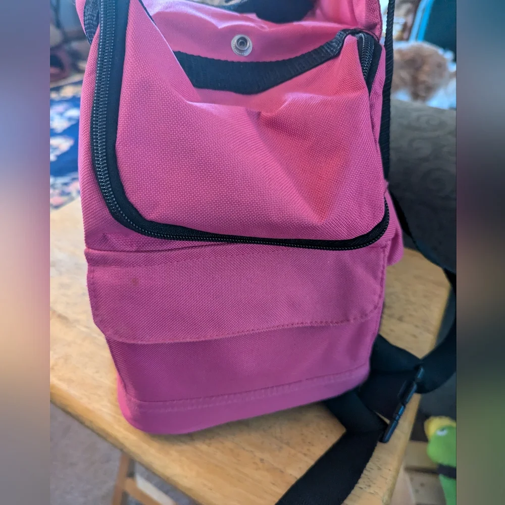NWOT Dog or Cat Back Pack For 10 LB Pet